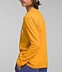 Color:Summit Gold - Image 2 - Little/Big Boys 5-20 Long Sleeve Pullover Summit Logo T-Shirt