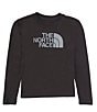 Color:TNF Black Tonal - Image 1 - Little/Big Boys 6-16 Long Sleeve Graphic Logo T-Shirt