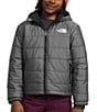 Color:TNF Medium Grey Heat - Image 1 - Little/Big Boys 6-16 Long Sleeve Mount Chimbo Full-Zip Insulated Hooded Jacket