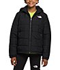 Color:TNF Black - Image 1 - Little/Big Boys 6-16 Long Sleeve Mount Chimbo Full-Zip Insulated Hooded Jacket