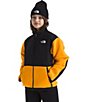The North Face Big Kids Denali Jacket - Image 3