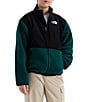 The North Face Big Kids Denali Jacket - Image 1