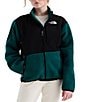 The North Face Big Kids Denali Jacket - Image 4