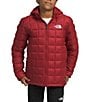 Color:Cardinal Red - Image 1 - Little/Big Boys 6-20 Long Sleeve Thermoball Hooded Snow Jacket