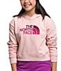 Color:Pink Moss - Image 1 - Little/Big Girls 6-16 Long Sleeve Camp Fleece Pullover Hoodie