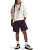 The North Face Long Sleeve Evolution Vintage Hoodie, Color:White Dune - Image 3