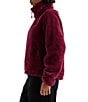 The North Face Osito Evolve Stand Collar Half Zip Pullover Jacket - Image 3