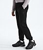 The North Face Paramount Jogger Pants, Color:TNF Black - Image 3