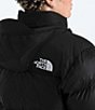 The North Face Plus Size 1996 Retro Nuptse Stand Collar Zip Front Down Puffer Jacket, Color:TNF Black - Image 6