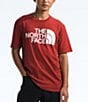 Color:Iron Red - Image 3 - Short Sleeve Half Dome Graphic T-Shirt