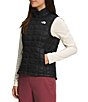 Color:TNF Black - Image 3 - ThermoBall™ Eco Packable Quilted Vest 2.0