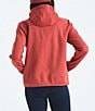 The North Face TNF Performance Fleece Hoodie Zip Front Jacket, Color:Mars Dust - Image 2