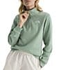 The North Face Evolution Embroidered Logo Mock Neck Quarter Zip Pullover - Image 5
