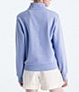 The North Face Evolution Embroidered Logo Mock Neck Quarter Zip Pullover - Image 2