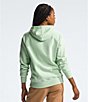Color:Misty Sage - Image 3 - Women's Half Dome Pullover Hoodie