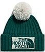 The North Face Women's Heritage Ski Tuke Removable Pom Logo Patch Beanie - Image 1