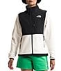 Color:White Dune/TNF Black - Image 1 - Women's Printed Denali Stand Collar Long Sleeve Zip Chest Pocket Jacket
