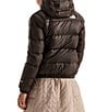 The North Face Zip Front Hydrenalite™ Down Puffer Hoodie - Image 6