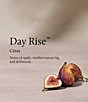 Thymes Day Rise 2-Wick Aromatic Candle, 13 oz. - Image 3