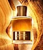 TOM FORD undefined, 00000000__20554164_02_ai - undefined