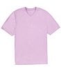 Color:Summer Purple - Image 1 - Big & Tall IslandZone Coastal Crest Short Sleeve V-Neck T-Shirt