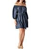 Color:Chambray - Image 1 - Chambray Off-the-Shoulder Tiered Swim Cover-Up Dress