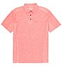 Color:Pink Confetti - Image 1 - Palm Coast Short Sleeve Polo Shirt
