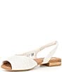 TOMS undefined, 00000000_zi_3be33d26-81c8-42a6-83d8-222b56aa0cd7__03_ai - undefined