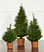 Trimsetter 3-ft. Pre-Lit Cypress Tree in Basket - Image 2