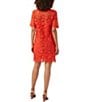 Color:Reef Red - Image 2 - Sun Floral Lakewood Lace Boat Neck Short Sleeve Sheath Dress