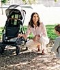 UPPAbaby Vista V3 Stroller + Mesa V2 Car Seat Travel System, Color:Greyson - Image 6