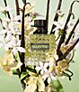 Valentino undefined, 00000000__20462482_05_ai - undefined