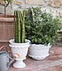 Color:White - Image 2 - Rustic Garden White Ruffle Tall Footed Cachepot