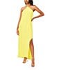 Color:Lime Breeze - Image 1 - Halter Neck Maxi Dress