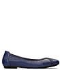 Color:Navy - Image 2 - Caroll Leather Ballet Flats