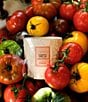 Voluspa Japonica Collection Tomato Trellis Ceramic Luxe Classic Candle - Image 4