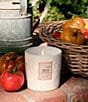 Voluspa Japonica Collection Tomato Trellis Ceramic Luxe Classic Candle - Image 5