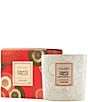 Voluspa Japonica Collection Tomato Trellis Ceramic Luxe Classic Candle - Image 1