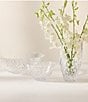 Waterford Celebration Vase, 8.5#double; - Image 4