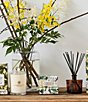 Wavertree & London Lemongrass 7 Myrtle Candle, 11.6 oz. - Image 3