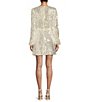 Color:Silver Sequin - Image 2 - Sequin V-Neck Long Sleeve Mini Dress