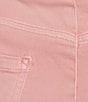 Westbound Mid-Rise 5 Pocket Shorts - Image 4