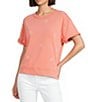 Westbound Petite Size Star Print Short Sleeve Crew Neck Knit Pullover Top - Image 5