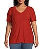 Color:K Spice - Image 1 - Plus Size Short Sleeve Seam V-Neck Relaxed Tee Shirt