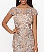 Color:Rose/Gold - Image 3 - Floral Embroidered Lace Round Neck Cap Sleeve Sheath Dress