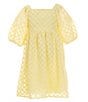 Color:Light Yellow - Image 1 - Big Girls 7-16 Clip-Dot Textured Babydoll Dress