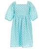 Color:Aqua - Image 1 - Big Girls 7-16 Clip-Dot Textured Babydoll Dress