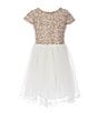Color:Cappuccino - Image 1 - Little Girls 4-6X Cap-Sleeve Embroidered-Bodice/Mesh-Skirted Fit-And-Flare Dress
