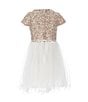 Color:Cappuccino - Image 2 - Little Girls 4-6X Cap-Sleeve Embroidered-Bodice/Mesh-Skirted Fit-And-Flare Dress