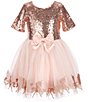 Color:Blush/Gold - Image 1 - Little Girls 4-6X Elbow Sleeve Unicorn Sequin Dress